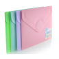 MAPA CU ARICI A6 BLUSH OFFICE BOX