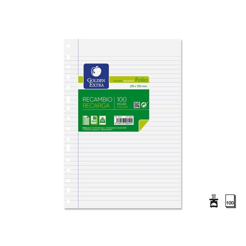 REZERVA CAIET MECANIC A4 100C DICTANDO  MUTIPERFORATII  GOLDEN