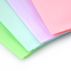 MAPA A4 CU ARICI BURDUF SI PERFORATII 5 x 33.5 x 3CM BLUSH PASTEL