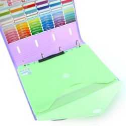 MAPA A4 CU ARICI SI PERFORATII 24X31CM BLUSH PASTEL