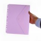 MAPA A4 CU ARICI SI PERFORATII 24X31CM BLUSH PASTEL