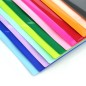 MAPA CU ARICI COLORLINE A4+ DIVRSE CULORI