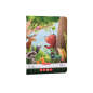 CAIET TIP II A5 36 FILE FUN TIME HERLITZ