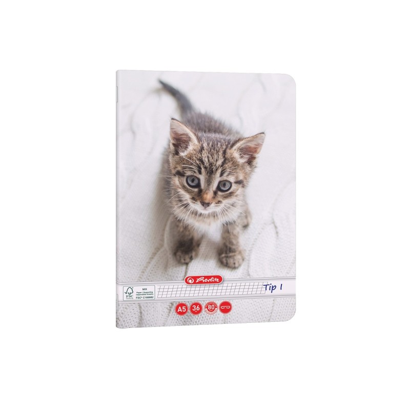 CAIET TIP I A5 36 FILE CAT&DOGS HERLITZ
