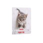 CAIET TIP I A5 36 FILE CAT&DOGS HERLITZ