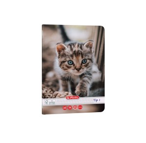 CAIET TIP I A5 36 FILE CAT&DOGS HERLITZ