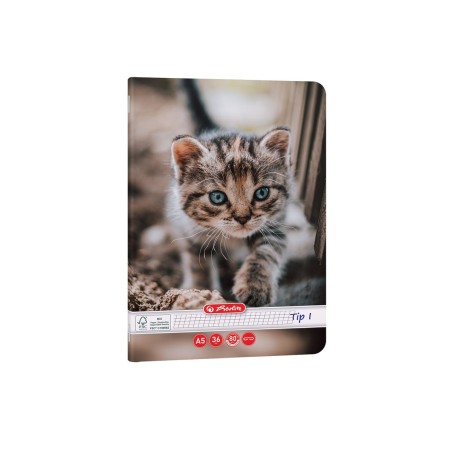 CAIET TIP I A5 36 FILE CAT&DOGS HERLITZ