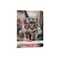CAIET TIP I A5 36 FILE CAT&DOGS HERLITZ