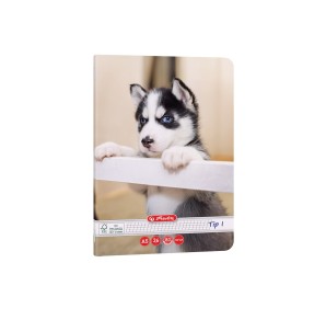 CAIET TIP I A5 36 FILE CAT&DOGS HERLITZ