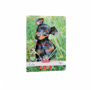 CAIET TIP I A5 36 FILE CAT&DOGS HERLITZ