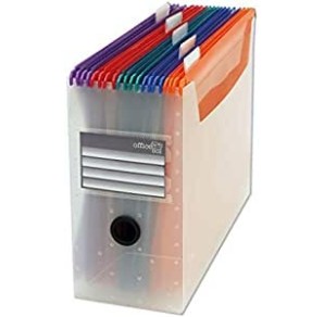 ORGANIZATOR BIROU 10 DOSARE...