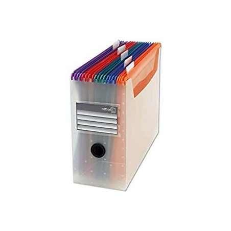 ORGANIZATOR BIROU 10 DOSARE...