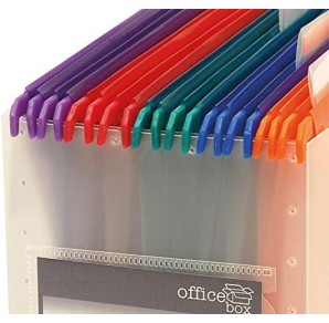 ORGANIZATOR BIROU 10 DOSARE...