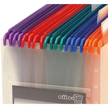 ORGANIZATOR BIROU 10 DOSARE...